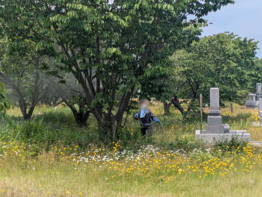 今日は地区のお仕事です 地区の皆様宅のお庭、そして公園墓地の木々に、アメリカシロヒトリ対策の薬剤散布を行いました