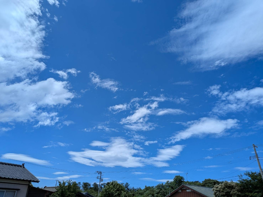 新潟県胎内市、今日も良いお天気です・・・少し雨が欲しいです