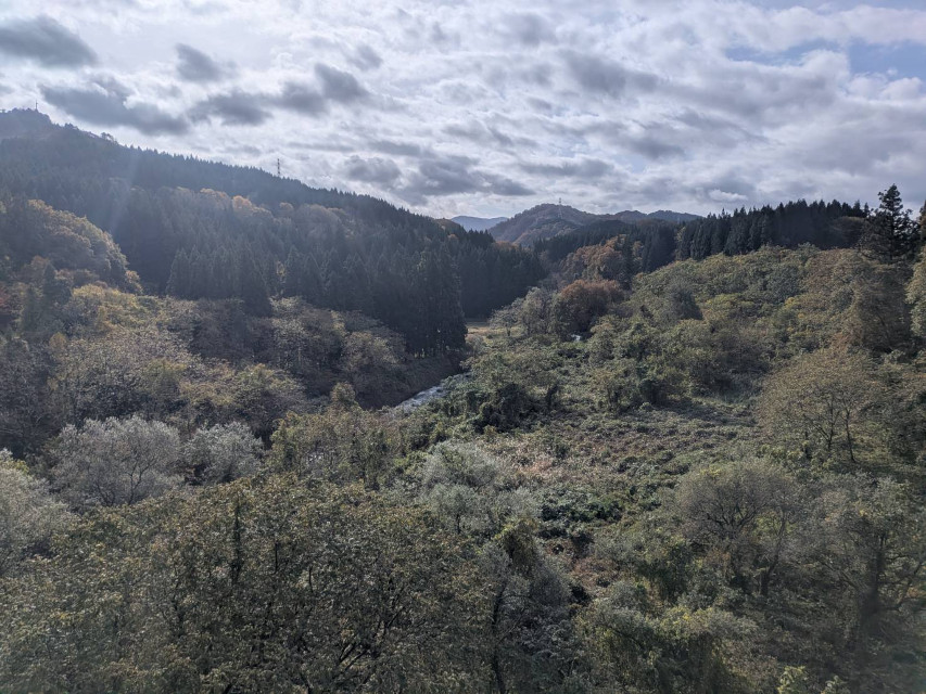 胎内スキー場近くの山々も、紅葉で色付きはじめました！