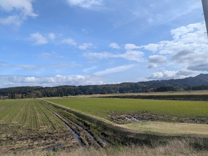 今日は、耐震診断の結果ご報告に出向きました。近所の丘の上も紅葉が色付き始めてました