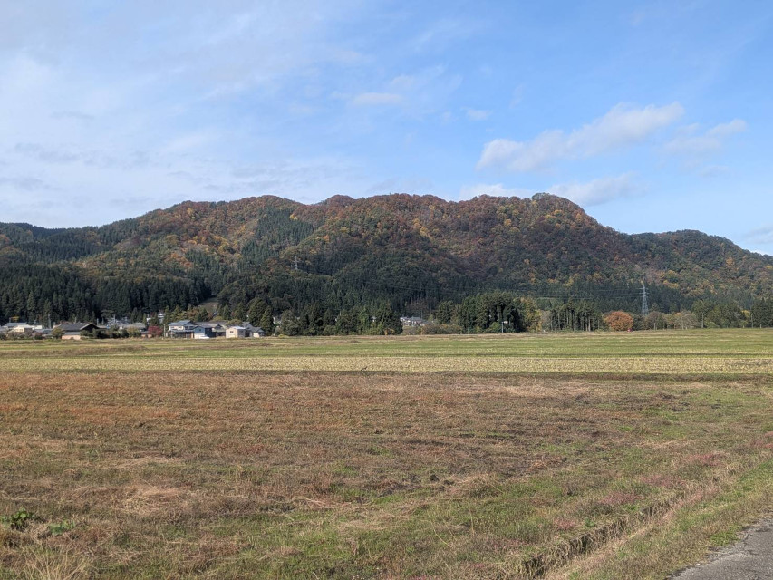 山の山頂部、きれいな紅葉となっています
