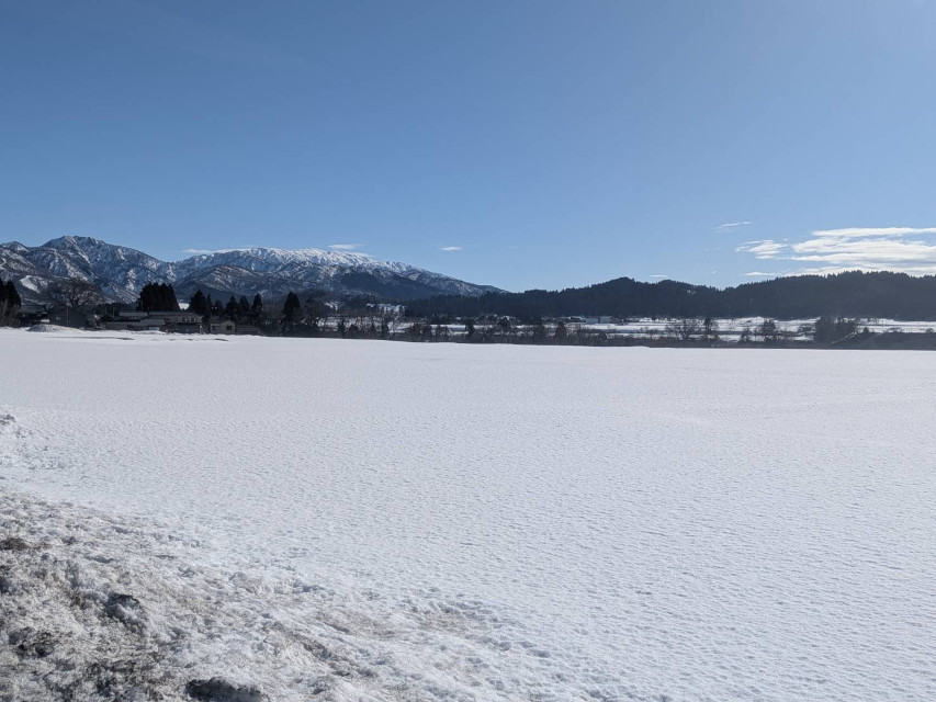 2月と言うのに今年は信じられない位暖かく、今日は日差しも届いて最高に気持ちが良い日です!