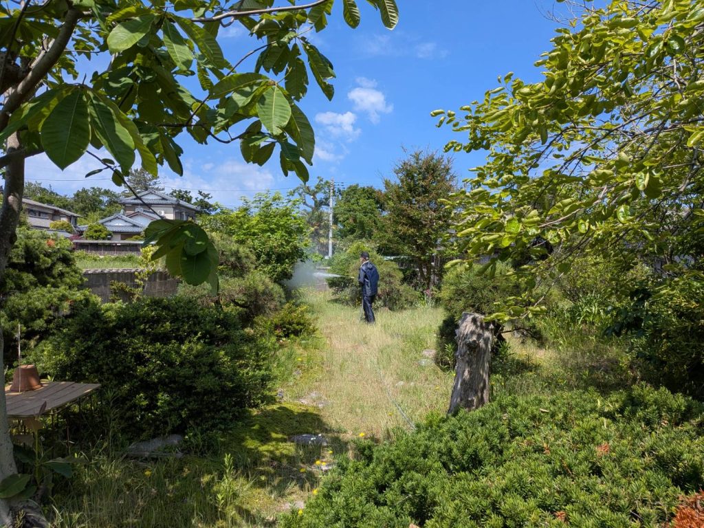薬剤散布、個別のお宅のお庭の樹木、虫がつかない様に丁寧に散布します