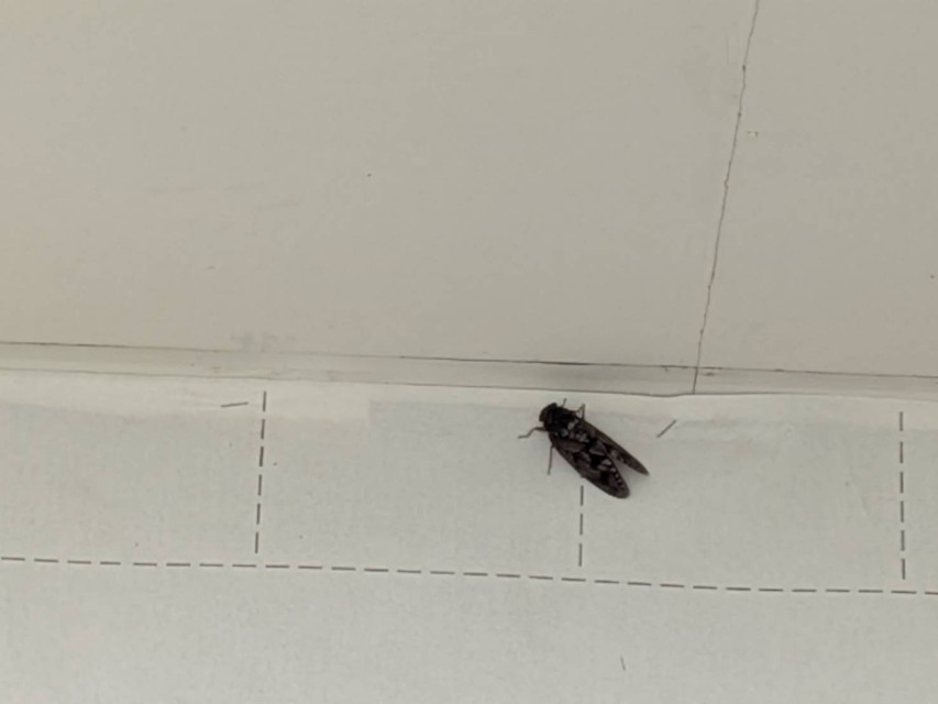 あまりの素敵さに、見学したいとの・・・